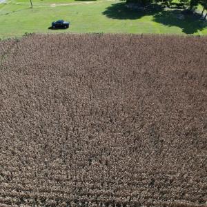 Photo #6 of Off Bailey Road, Fairmont, NC 1.0 acres