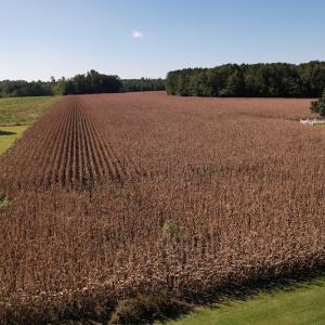 Photo #9 of Off Bailey Road, Fairmont, NC 1.0 acres