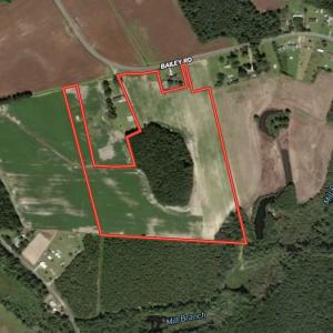 Photo #1 of Off Bailey Road, Fairmont, NC 29.1 acres