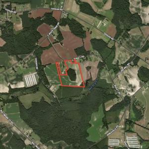 Photo #18 of Off Bailey Road, Fairmont, NC 29.1 acres