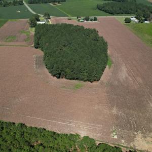Photo #2 of Off Bailey Road, Fairmont, NC 29.1 acres