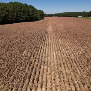 Photo #12 of Off Bailey Road, Fairmont, NC 29.1 acres