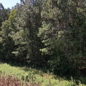 Photo #15 of Off Bailey Road, Fairmont, NC 29.1 acres