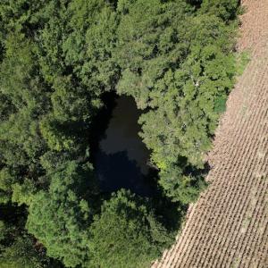 Photo #16 of Off Bailey Road, Fairmont, NC 29.1 acres