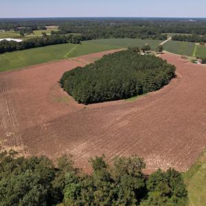 Photo #3 of Off Bailey Road, Fairmont, NC 29.1 acres