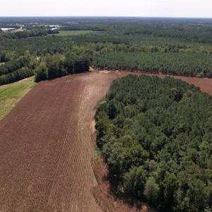 Photo #5 of Off Bailey Road, Fairmont, NC 29.1 acres
