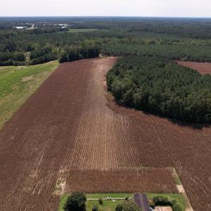 Photo #6 of Off Bailey Road, Fairmont, NC 29.1 acres