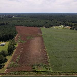 Photo #8 of Off Bailey Road, Fairmont, NC 29.1 acres