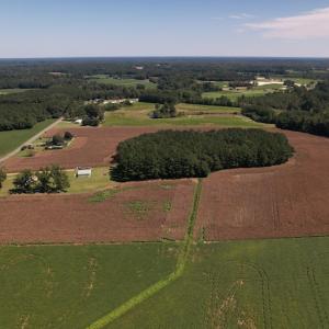 Photo #9 of Off Bailey Road, Fairmont, NC 29.1 acres