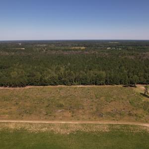 Photo #2 of Off Macedonia Church Road, Evergreen, NC 39.7 acres