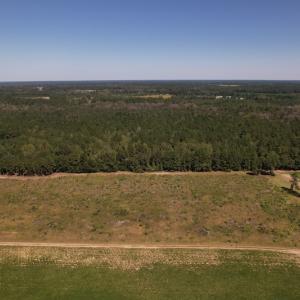 Photo #2 of SOLD property in Off Macedonia Church Road, Evergreen, NC 39.7 acres