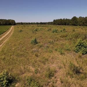 Photo #11 of Off Macedonia Church Road, Evergreen, NC 39.7 acres