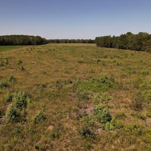 Photo #14 of Off Macedonia Church Road, Evergreen, NC 39.7 acres