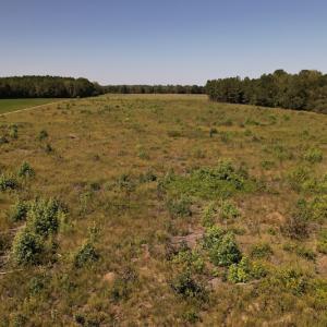 Photo #14 of SOLD property in Off Macedonia Church Road, Evergreen, NC 39.7 acres