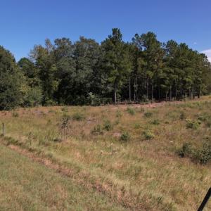 Photo #16 of Off Macedonia Church Road, Evergreen, NC 39.7 acres