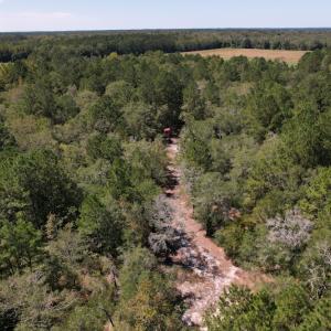 Photo #18 of Off Macedonia Church Road, Evergreen, NC 39.7 acres