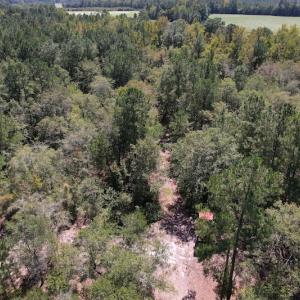 Photo #19 of Off Macedonia Church Road, Evergreen, NC 39.7 acres