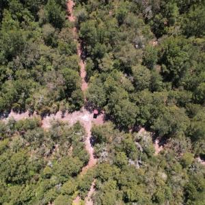Photo #20 of SOLD property in Off Macedonia Church Road, Evergreen, NC 39.7 acres