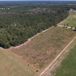 Photo #3 of SOLD property in Off Macedonia Church Road, Evergreen, NC 39.7 acres