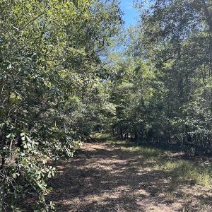 Photo #26 of Off Macedonia Church Road, Evergreen, NC 39.7 acres