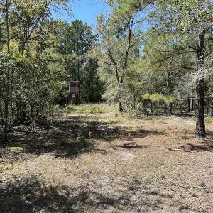Photo #27 of Off Macedonia Church Road, Evergreen, NC 39.7 acres