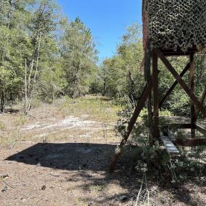 Photo #28 of Off Macedonia Church Road, Evergreen, NC 39.7 acres