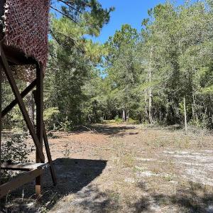 Photo #29 of Off Macedonia Church Road, Evergreen, NC 39.7 acres