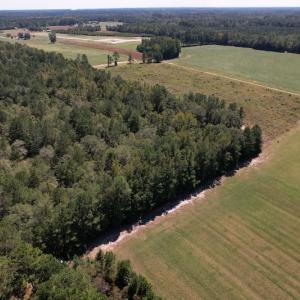 Photo #4 of Off Macedonia Church Road, Evergreen, NC 39.7 acres
