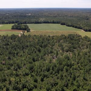 Photo #5 of Off Macedonia Church Road, Evergreen, NC 39.7 acres