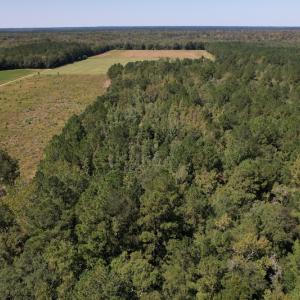 Photo #6 of Off Macedonia Church Road, Evergreen, NC 39.7 acres