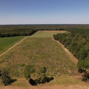 Photo #7 of Off Macedonia Church Road, Evergreen, NC 39.7 acres
