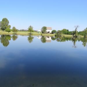 Photo #37 of 686 N. Broadridge Rd, Orrum, NC 24.0 acres