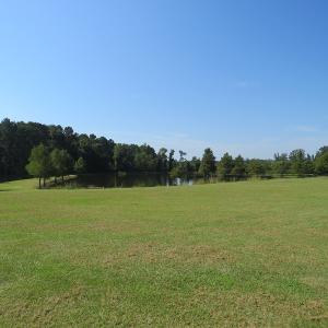 Photo #38 of 686 N. Broadridge Rd, Orrum, NC 24.0 acres