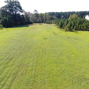 Photo #4 of 686 N. Broadridge Rd, Orrum, NC 24.0 acres