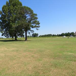 Photo #40 of 686 N. Broadridge Rd, Orrum, NC 24.0 acres