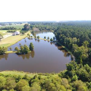Photo #5 of 686 N. Broadridge Rd, Orrum, NC 24.0 acres