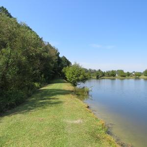 Photo #9 of 686 N. Broadridge Rd, Orrum, NC 24.0 acres