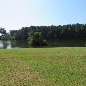 Photo #41 of 686 N. Broadridge Rd, Orrum, NC 24.0 acres