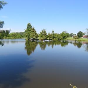 Photo #43 of 686 N. Broadridge Rd, Orrum, NC 24.0 acres