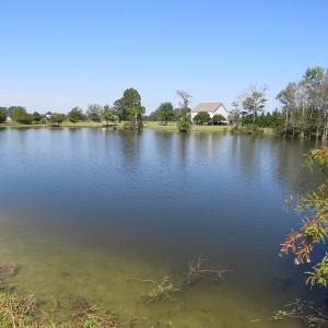 Photo #47 of 686 N. Broadridge Rd, Orrum, NC 24.0 acres