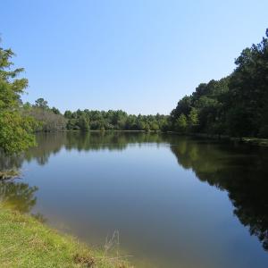 Photo #48 of 686 N. Broadridge Rd, Orrum, NC 24.0 acres