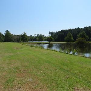 Photo #51 of 686 N. Broadridge Rd, Orrum, NC 24.0 acres