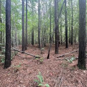 Photo #9 of SOLD property in 1055 Barker Road , Oxford, NC 13.2 acres