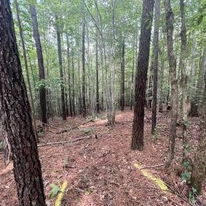Photo #10 of SOLD property in 1055 Barker Road , Oxford, NC 13.2 acres