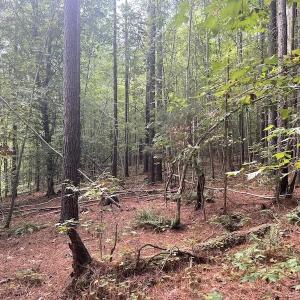 Photo #11 of SOLD property in 1055 Barker Road , Oxford, NC 13.2 acres