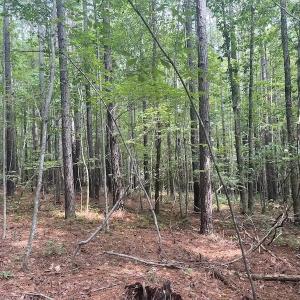 Photo #12 of SOLD property in 1055 Barker Road , Oxford, NC 13.2 acres