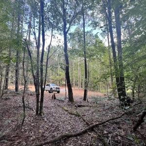 Photo #16 of SOLD property in 1055 Barker Road , Oxford, NC 13.2 acres