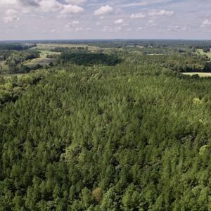 Photo #18 of SOLD property in 1055 Barker Road , Oxford, NC 13.2 acres