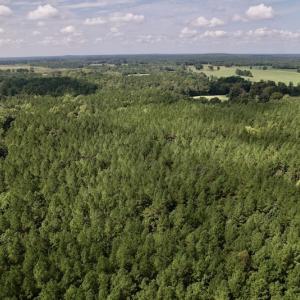 Photo #19 of 1055 Barker Road , Oxford, NC 13.2 acres