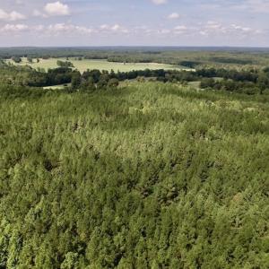 Photo #20 of SOLD property in 1055 Barker Road , Oxford, NC 13.2 acres
